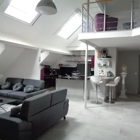 Le Logis Du Foirail شقة *